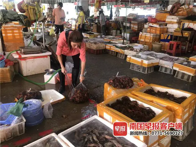 南宁小龙虾价格持续跌 海鲜价格居高不下