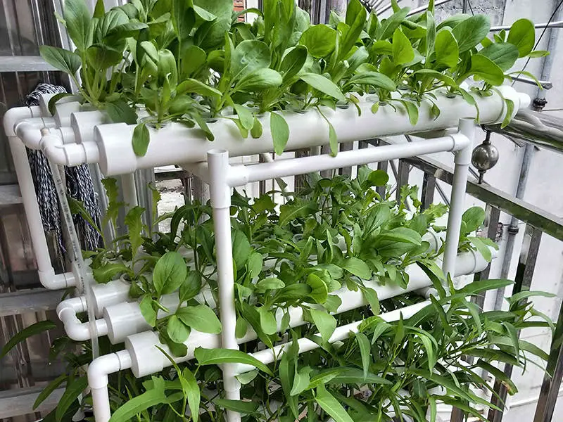 无土栽培设备 享受在家种草的乐趣